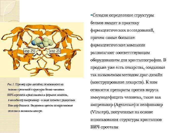  Сегодня определение структуры белков входит в практику фармацевтических исследований, причем самые большие фармацевтические