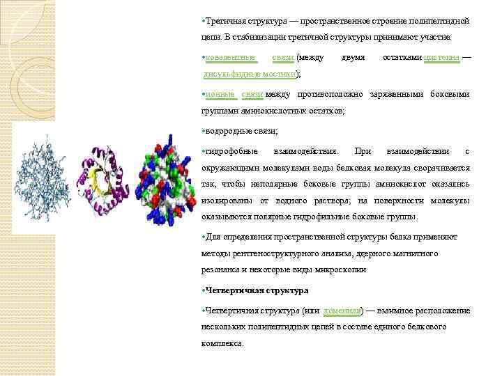  Третичная структура — пространственное строение полипептидной цепи. В стабилизации третичной структуры принимают участие: