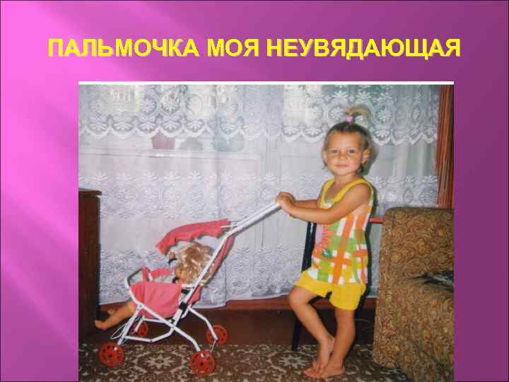 ПАЛЬМОЧКА МОЯ НЕУВЯДАЮЩАЯ 