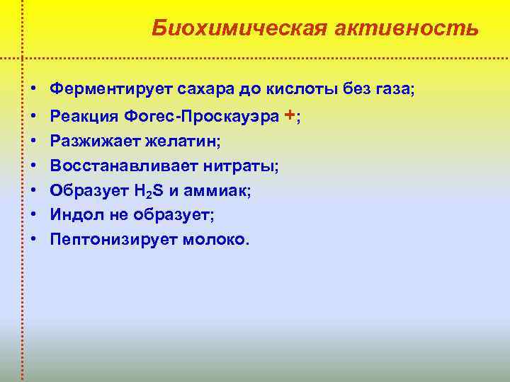Биохимическая активность • Ферментирует сахара до кислоты без газа; • • • Реакция Фогес-Проскауэра