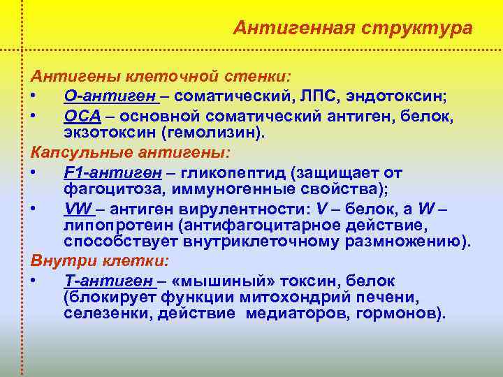 Антигенная структура Антигены клеточной стенки: • О-антиген – соматический, ЛПС, эндотоксин; • ОСА –