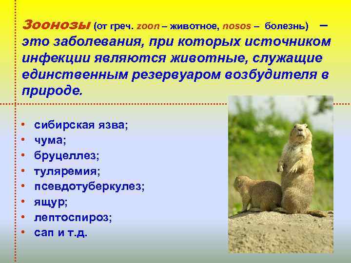 Зоонозы (от греч. zoon – животное, nosos – болезнь) – это заболевания, при которых