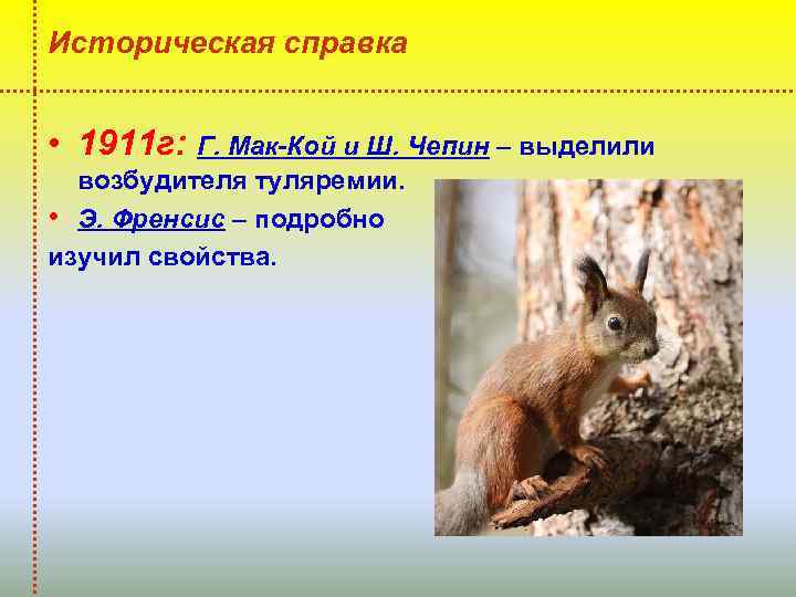 Историческая справка • 1911 г: Г. Мак-Кой и Ш. Чепин – выделили возбудителя туляремии.