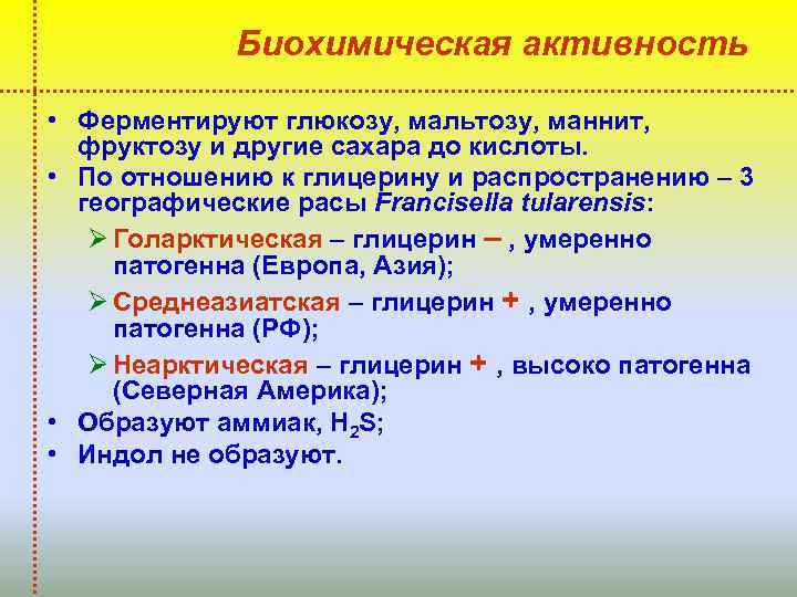 Биохимическая активность • Ферментируют глюкозу, мальтозу, маннит, фруктозу и другие сахара до кислоты. •