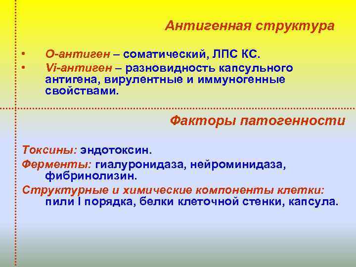 Антигенная структура • • О-антиген – соматический, ЛПС КС. Vi-антиген – разновидность капсульного антигена,