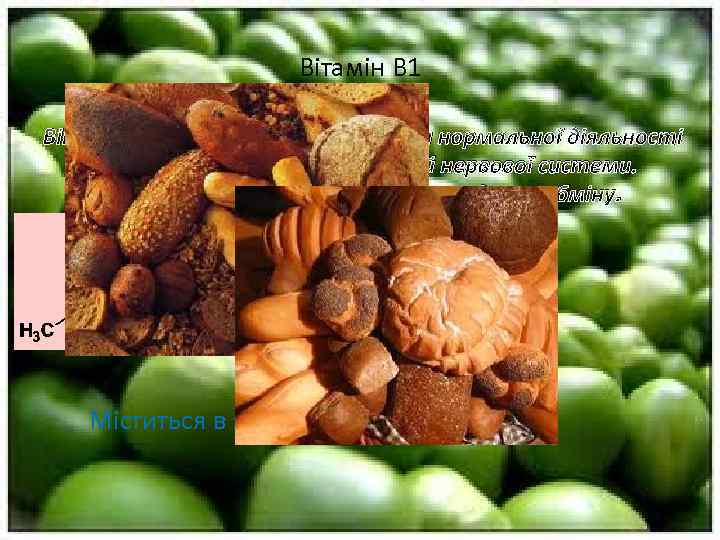 Вітамін B 1 - тіамін - необхідний для нормальної діяльності центральною і переферической нервової