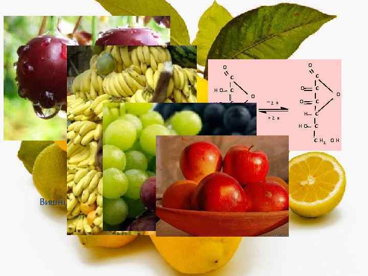 Вітамін С - аскорбінова кислота- бере участь в окислювально - відновних реакціях, підвищує опірність
