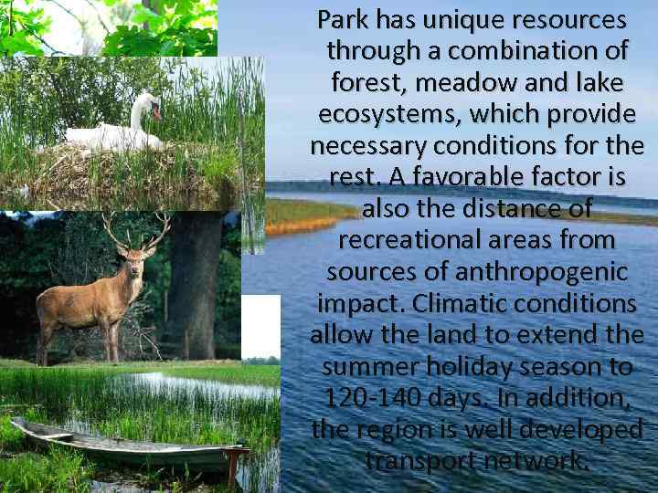 Park has unique resources through a combination of forest, meadow and lake ecosystems, which