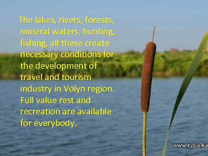 The lakes, rivers, forests, mineral waters, hunting, fishing, all these create necessary conditions for