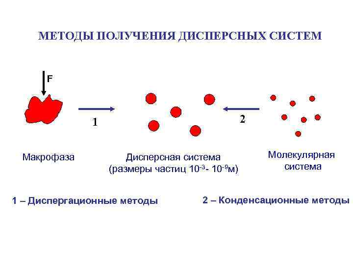 10 частиц