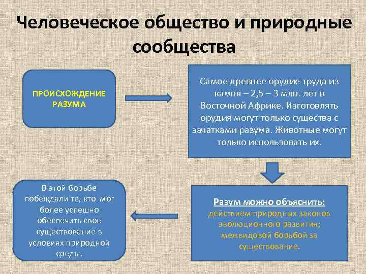 Формы человеческой общности