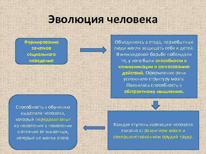 Эволюция человека Формирование зачатков социального поведения Способность к обучению выделила человека, который передавал опыт