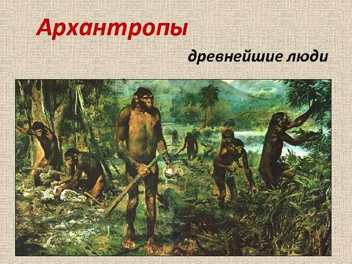 Архантропы древнейшие люди Один из первых «габилисов» - 