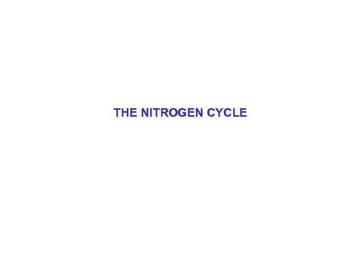 THE NITROGEN CYCLE 