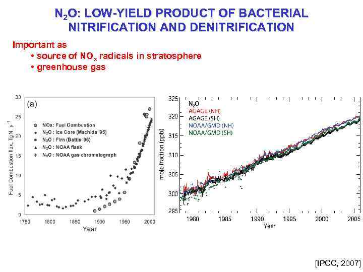 N 2 O: LOW-YIELD PRODUCT OF BACTERIAL NITRIFICATION AND DENITRIFICATION Important as • source