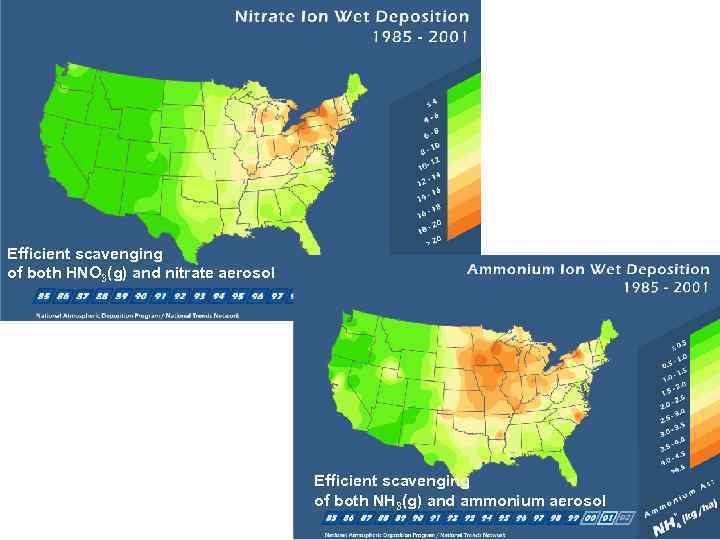 Efficient scavenging of both HNO 3(g) and nitrate aerosol Efficient scavenging of both NH