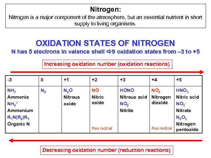 Nitrogen: Nitrogen is a major component of the atmosphere, but an essential nutrient in