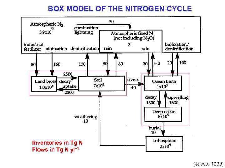 BOX MODEL OF THE NITROGEN CYCLE Inventories in Tg N Flows in Tg N