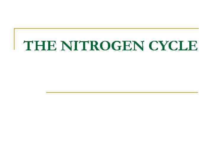 THE NITROGEN CYCLE 