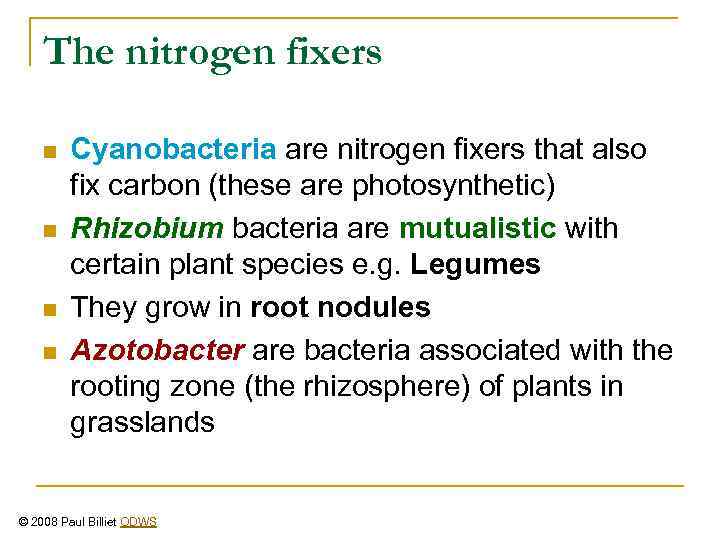 The nitrogen fixers n n Cyanobacteria are nitrogen fixers that also fix carbon (these