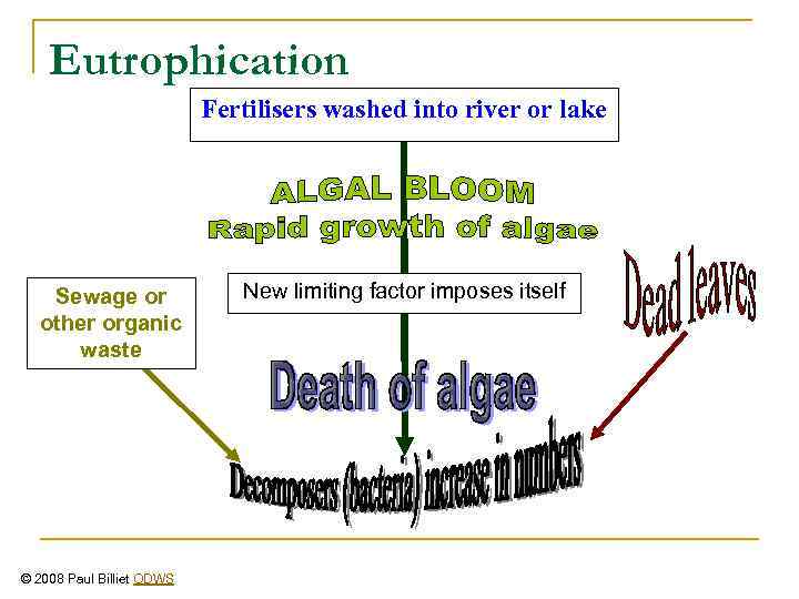 Eutrophication Fertilisers washed into river or lake Sewage or other organic waste © 2008
