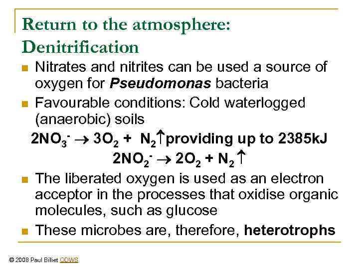 Return to the atmosphere: Denitrification Nitrates and nitrites can be used a source of