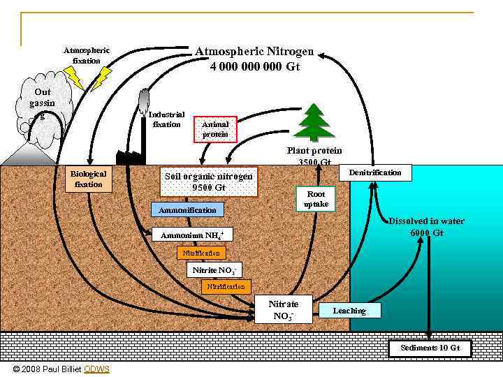 Atmospheric Nitrogen 4 000 000 Gt Atmospheric fixation Out gassin g Industrial fixation Animal
