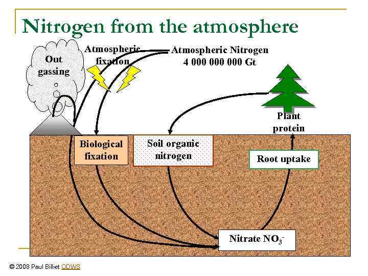 Nitrogen from the atmosphere Atmospheric fixation Out gassing Atmospheric Nitrogen 4 000 000 Gt