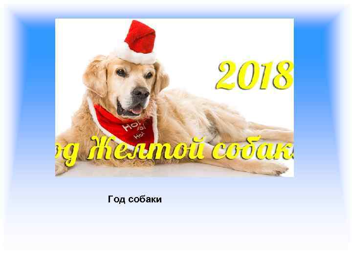 Год собаки 