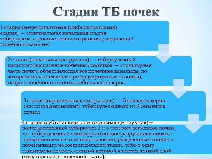 1 стадия (недеструктивная (инфильтративная) стадия) — минимальная начальная стадия туберкулеза, строение почки сохранено, разрушений