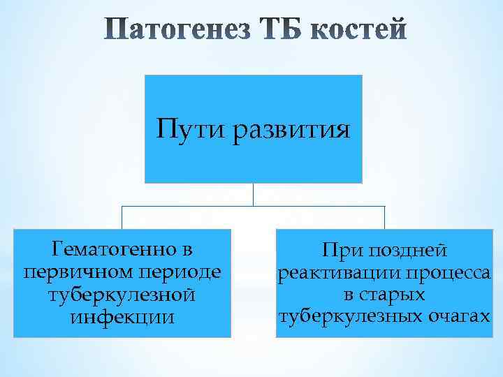 Пути развития Гематогенно в первичном периоде туберкулезной инфекции При поздней реактивации процесса в старых