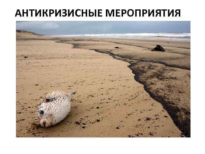 АНТИКРИЗИСНЫЕ МЕРОПРИЯТИЯ 