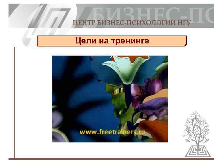 Цели на тренинге 