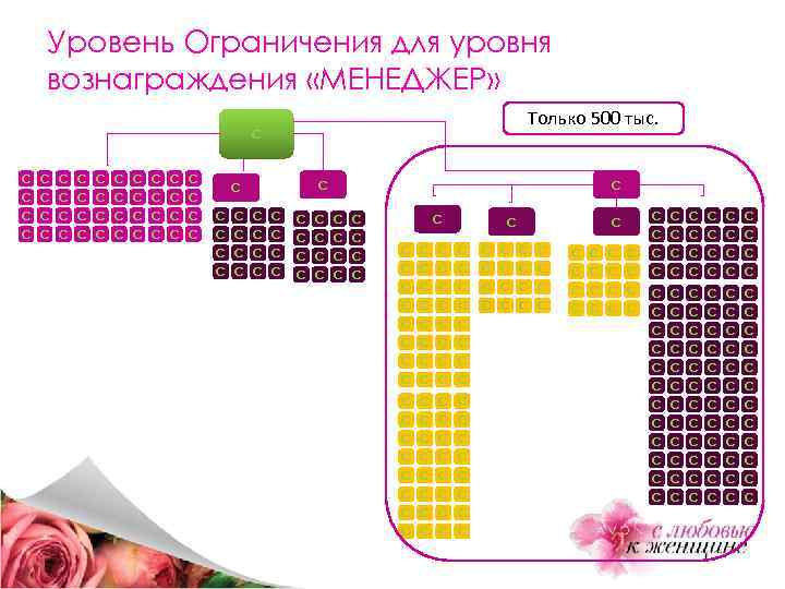 Уровень Ограничения для уровня вознаграждения «МЕНЕДЖЕР» Только 500 тыс. С С С С С