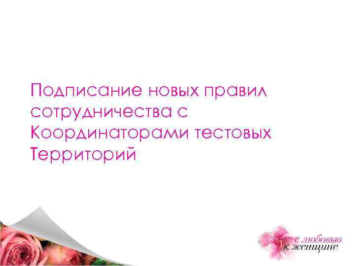 Подписание новых правил сотрудничества с Координаторами тестовых Территорий 
