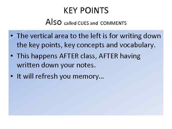 KEY POINTS Also called CUES and COMMENTS • The vertical area to the left