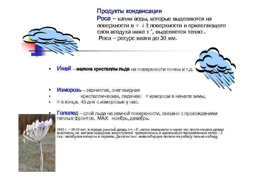 Продукты конденсации Роса – капли воды, которые выделяются на поверхности в = ↓ t
