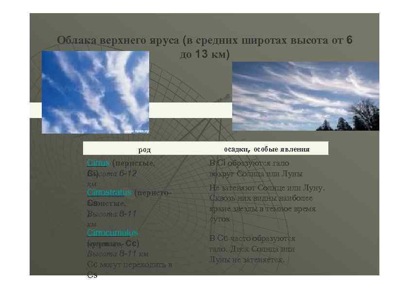 Облака верхнего яруса (в средних широтах высота от 6 до 13 км) род Cirrus