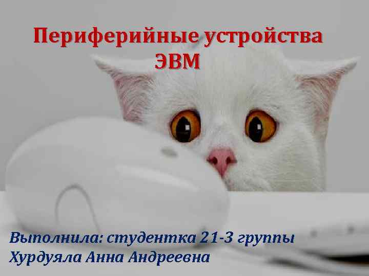 Периферийные устройства ЭВМ Выполнила: студентка 21 -3 группы Хурдуяла Анна Андреевна 
