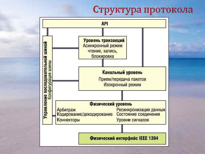 Структура протокола 