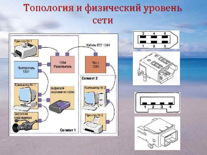 Топология и физический уровень сети 