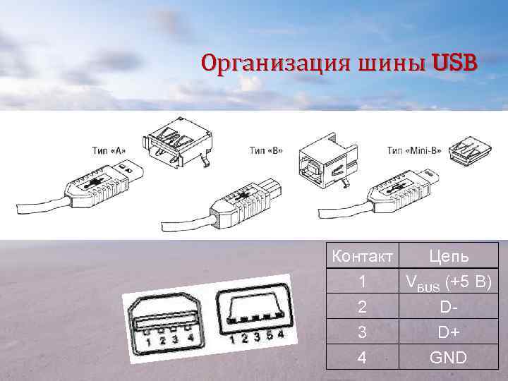Организация шины USB Контакт Цепь 1 VBUS (+5 В) 2 D 3 D+ 4
