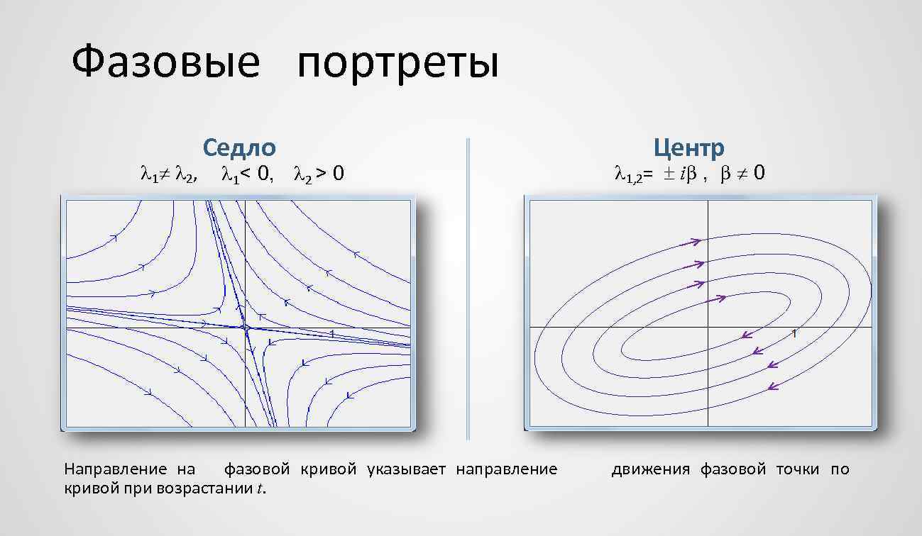 Фазовый портрет. Седло фазовый портрет. Фазовый портрет точки типа седло. Фазовый портрет седло узел. Фазовый портрет узел седло фокус.