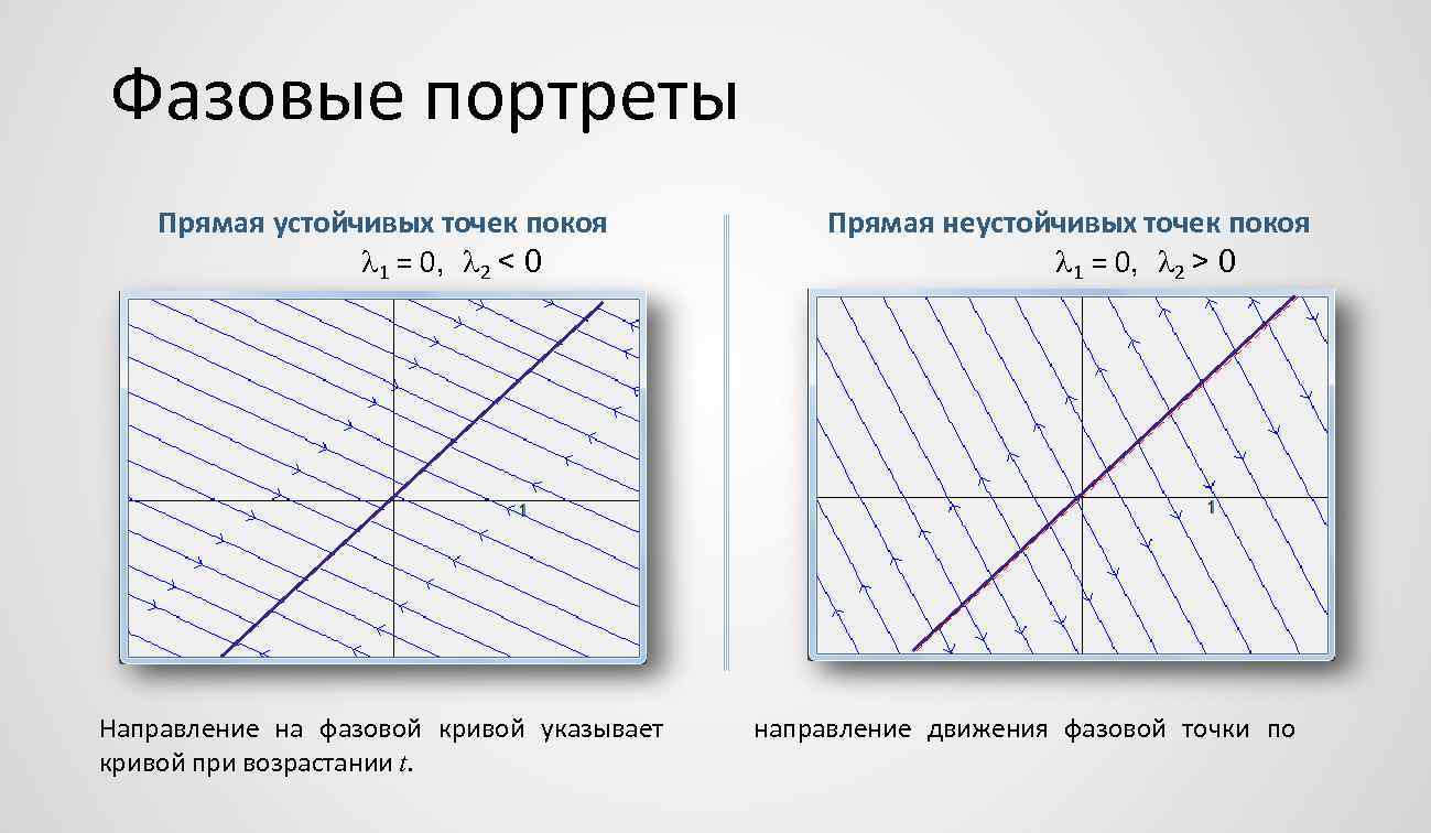 Типы точек. Построение фазового портрета. Изобразить фазовые портреты линейных систем. Вырожденный узел фазовый портрет. Виды фазовых портретов.