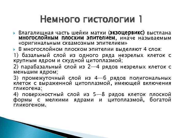 Немного гистологии 1 Влагалищная часть шейки матки (экзоцервикс) выстлана многослойным плоским эпителием, иначе называемым