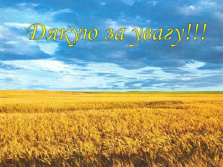 Дякую за увагу!!! 