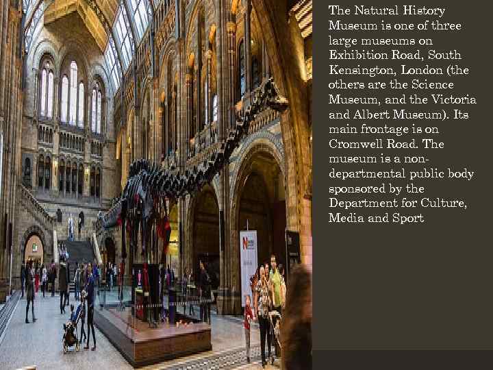 The Natural History Museum is one of three large museums on Exhibition Road, South