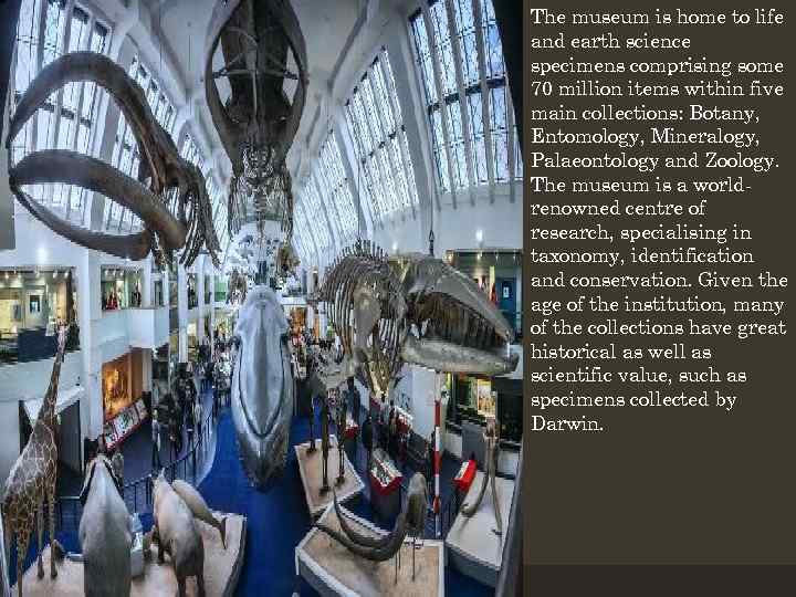 . The museum is home to life and earth science specimens comprising some 70