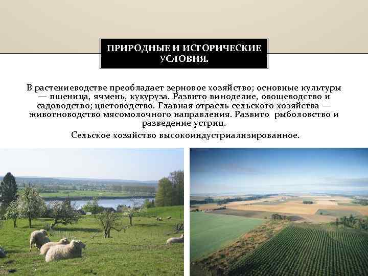 ПРИРОДНЫЕ И ИСТОРИЧЕСКИЕ УСЛОВИЯ. В растениеводстве преобладает зерновое хозяйство; основные культуры — пшеница, ячмень,