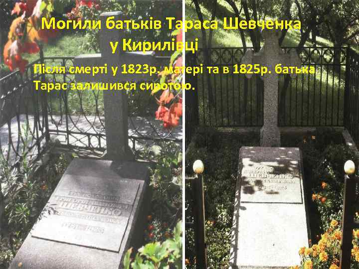 Могили батьків Тараса Шевченка у Кирилівці Після смерті у 1823 р. матері та в